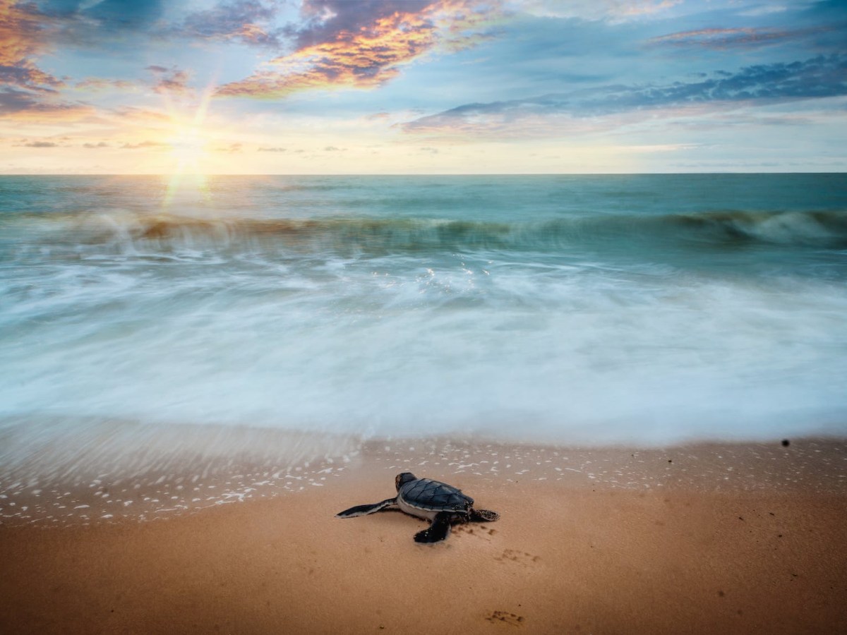El movimiento slow, un nuevo enfoque para saborear la&nbsp;vida